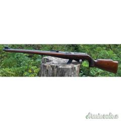Sidna ...mod.M22...22 Long Rifle