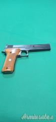 Smith & Wesson 422 .22 LR Long Rifle