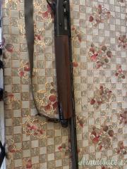 Beretta Urika 12