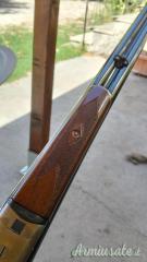 Fausti Diana  12