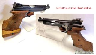 Anatomiche per SIG P 210