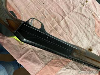 Benelli centro 12