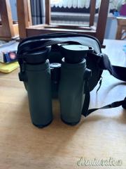 Svarowski EL range 10*32