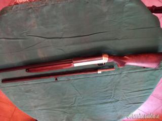 Benelli rinascimento 12
