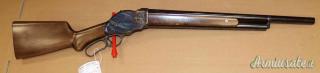 Fucile a Leva Chiappa  1887 Cal. 12