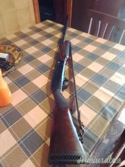 Benelli M 2 12