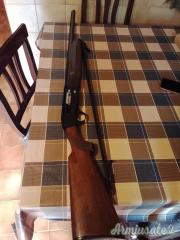 Benelli M 2 12
