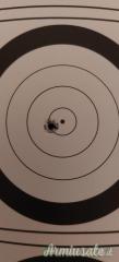 Marlin 795 .22 Long Rifle