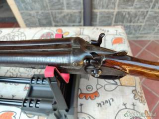 Bernardelli  12