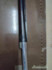 Benelli Raffaello Premio  12