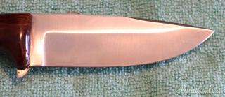 Coltello Muela Campero