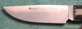 Coltello Muela Eagle