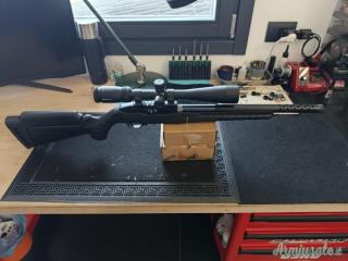 Ruger | Sturm 10/22 .22 Long Rifle