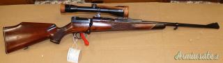 Carabina Mauser 66 Cal. 270W con Ottica