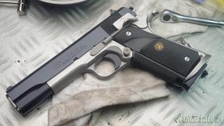 Colt Combat Elite  .45 Hirtenberger  | .45 Italian  | .45 Automatic Short