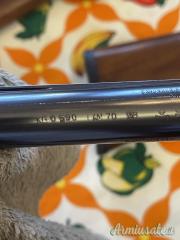 Benelli 201 SL80 20