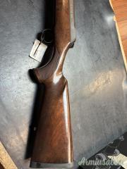 Sauer 101 .300 Winchester Magnum