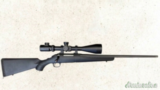 Ruger | Sturm American  .223 Remington