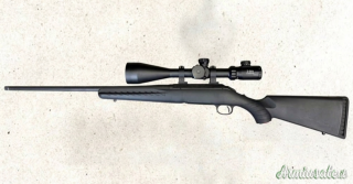 Ruger | Sturm American  .223 Remington