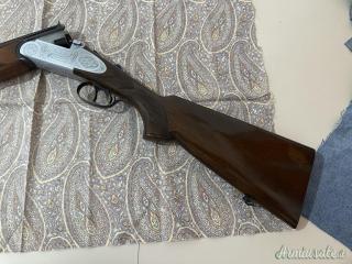 Zoli Antonio Delfino 20