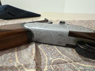 Zoli Antonio Delfino 20