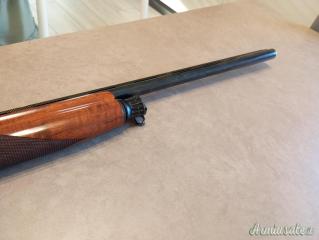 Benelli Crio  20