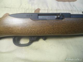 Ruger | Sturm 10-22 .22 Long Rifle
