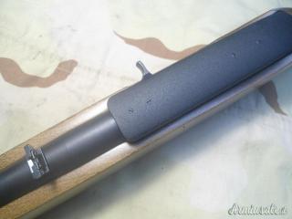 Ruger | Sturm 10-22 .22 Long Rifle