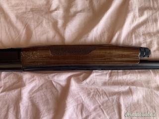 Benelli Black Eagle 12