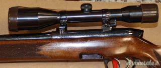 Steyr Mannlicher L Cal.243W con Ottica
