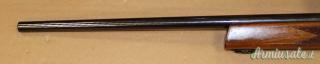 Steyr Mannlicher L Cal.243W con Ottica