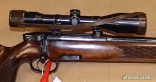 Steyr Mannlicher L Cal.243W con Ottica