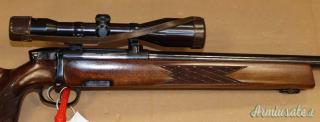 Steyr Mannlicher L Cal.243W con Ottica