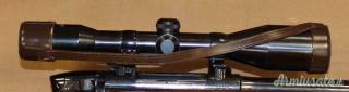 Steyr Mannlicher L Cal.243W con Ottica
