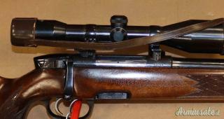 Steyr Mannlicher L Cal.243W con Ottica