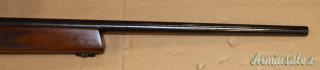 Steyr Mannlicher L Cal.243W con Ottica
