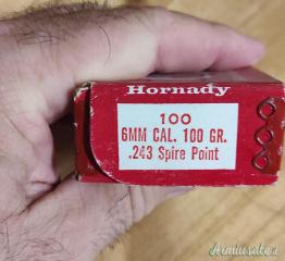 Palle hornady 243 win