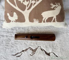 Astina Blaser K95