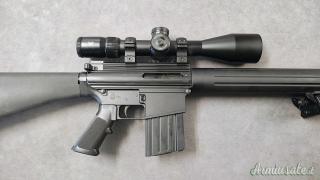 DPMS AR-10