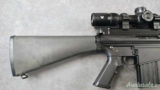 DPMS AR-10