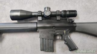 DPMS AR-10