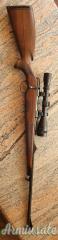 Steyer Luxus  .243 Winchester