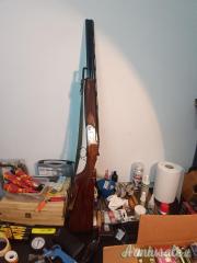 Rizzini Omnium  12