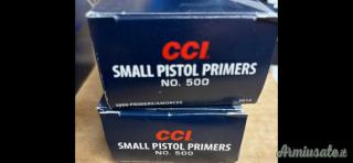 Cci 500/ winchester wsp