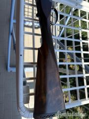 Beretta AS-EL 12