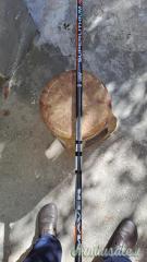 canna maver 7mt.