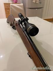 ...Altro | Non elencato Alpine mod. Special .270 Winchester