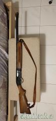 Beretta A301 12