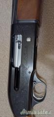 Beretta A301 12