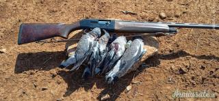 Beretta OTLANDER 12